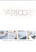 Varicor Mineralwerkstoff Active